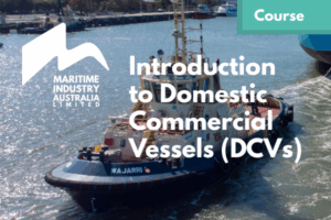 MEL Introduction to DCVs (August)